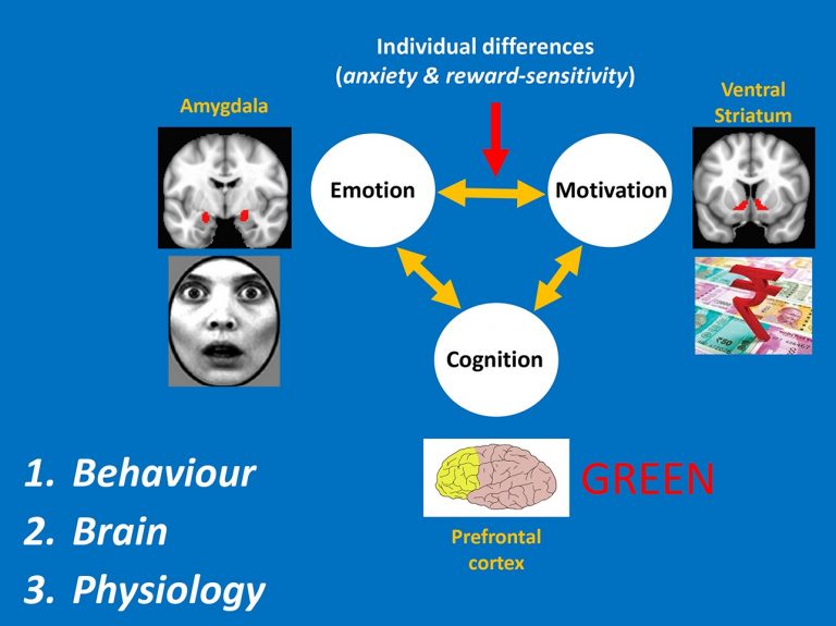 Brain, Computation, And Data Science